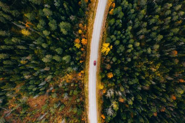 핀란드 시골의 황색과 주황색 가을 숲의 시골 도로의 공중 보기. - autumn driving car road 뉴스 사진 이미지