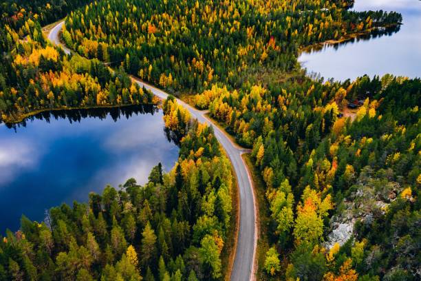フィンランドの山と青い湖と道路とカラフルな秋の森の航空写真。 - forest autumn aerial view leaf ストックフォトと画像