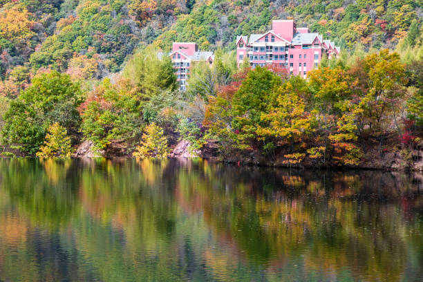 istock Reflection of autumn forest in the water 1180155617