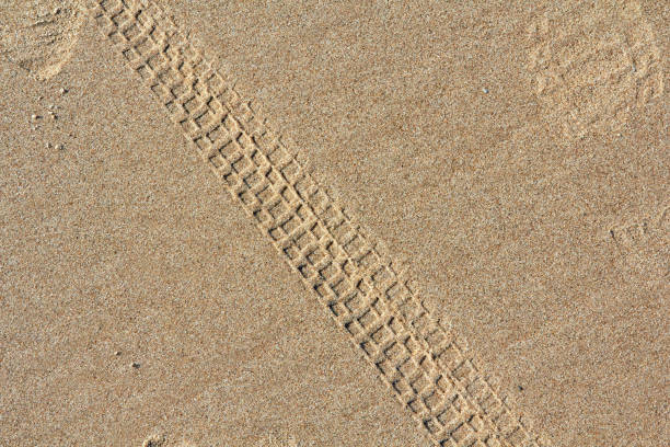 Close-up of tire tracks on clean beach sand