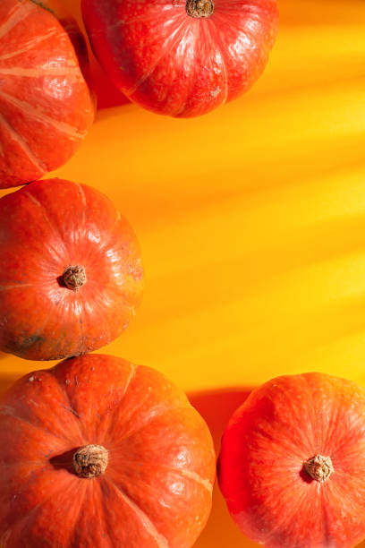 istock Frame with pumpkins on sunny yellow background in harsh light. Fall, thanksgiving concept, copy space 1180160577
