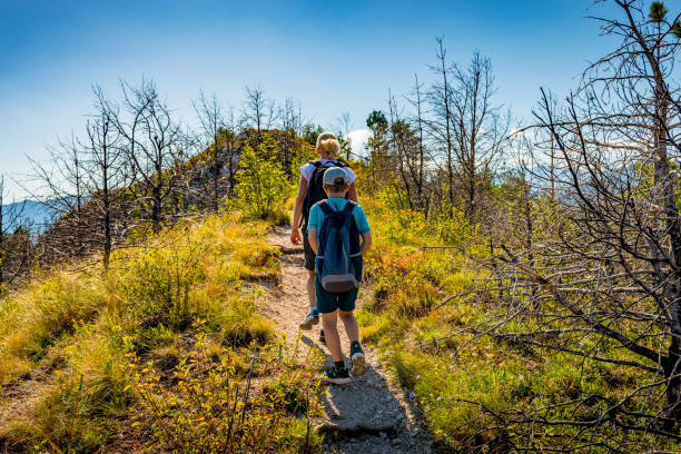 istock mother and son hiking 1180165637