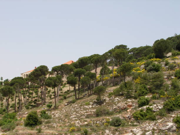 istock Deir El Kamar located in Lebanon 1180167978