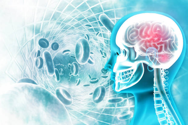 istock Human brain x-ray view on scientific background 1180168035