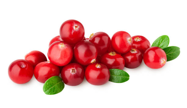 istock cranberry isolated on white background, clipping path, full depth of field 1180170576