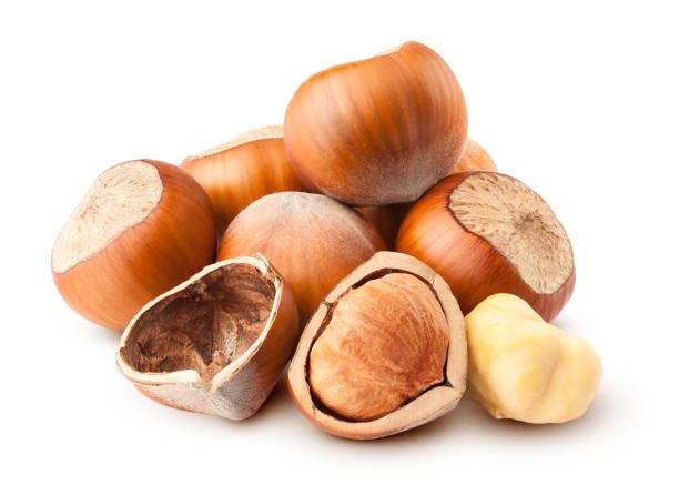 istock hazelnut isolated on white background, clipping path, full depth of field 1180170619