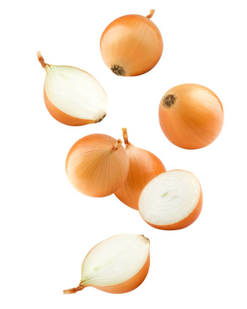 Falling onion, isolated on white background, clipping path, full depth of field Falling onion, isolated on white background, clipping path, full depth of field onion photos stock pictures, royalty-free photos & images