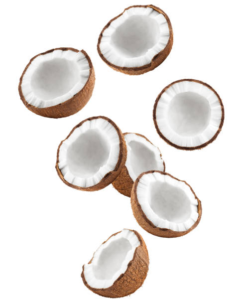 Falling coconut, isolated on white background, full depth of field, clipping path stock photo