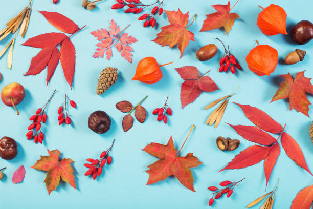istock autumn leaves on blue paper background 1180171136
