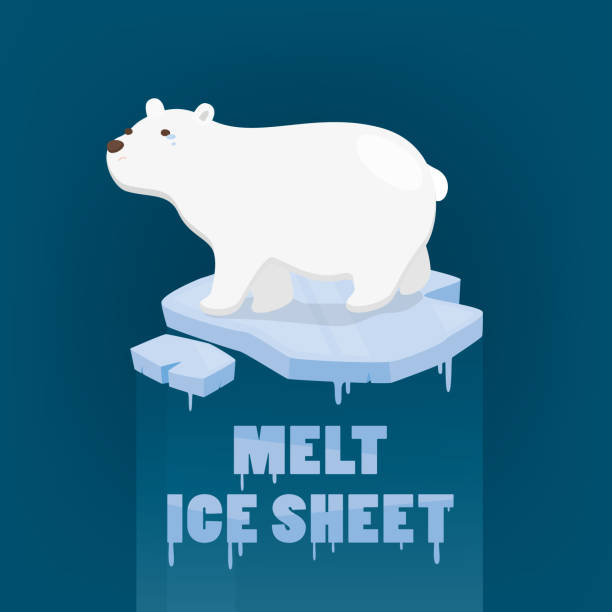 niedźwiedź polarny stojący na topnienia pokrywy lodowej na ciemnoniebieskim tle. - polar bear global warming ice bear stock illustrations