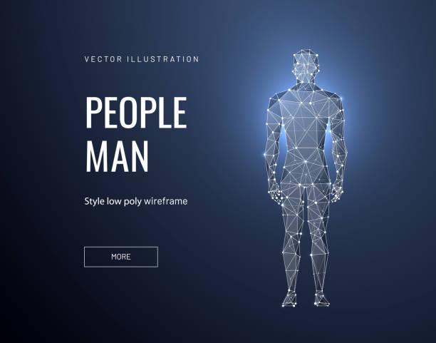 People body 3d low poly landing page template Male body low poly landing page template. Anatomy scientific web banner. 3d human model polygonal illustration. Man silhouette connection art homepage, website, webpage design layout wire frame model illustrations stock illustrations