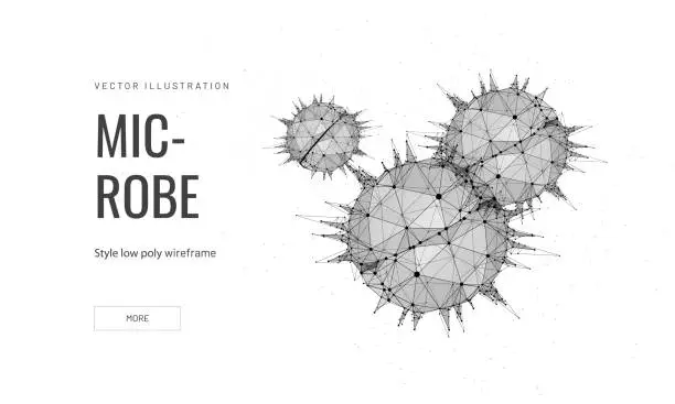 Vector illustration of Molecule low poly wireframe landing page template