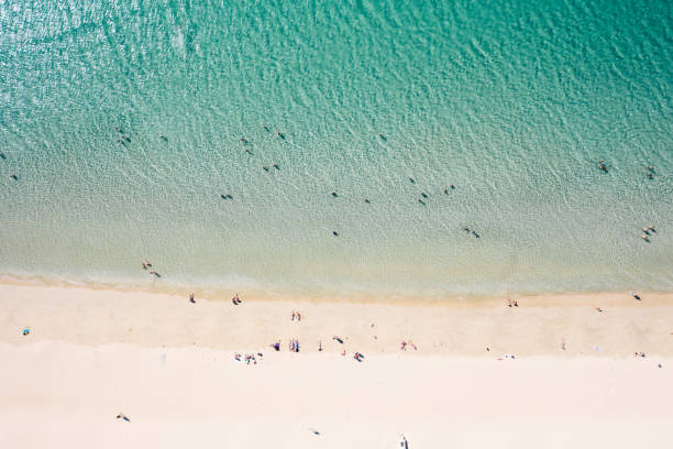 istock Top down view of people on a beach 1180173682