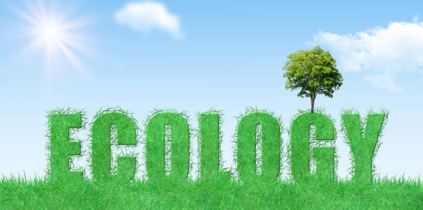 istock Green tree growth on ecology grassy text with blue sky in background. 1180174164