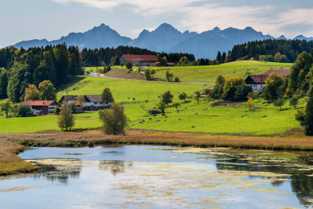 panoramic landscape with lake and mountains