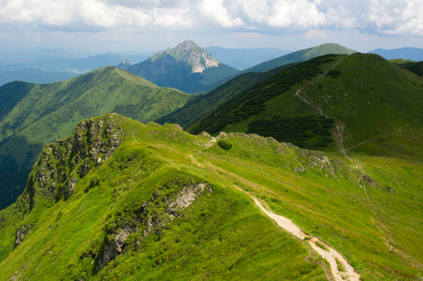 View from Chleb mountain, Velky Rozstutec mountain in the background, Mala Fatra mountain range ( Carpathians ), Slovakia, Europe - beautiful scenery of peaks and dramatic clouds