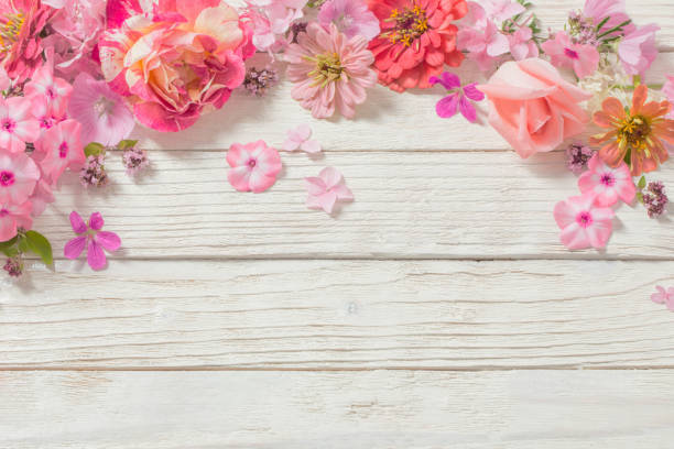 istock pink flowers on white wooden background 1180182264