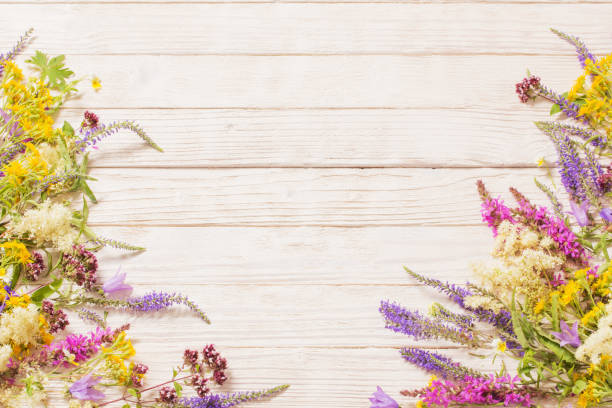 istock wildflowers on white wooden background 1180182715