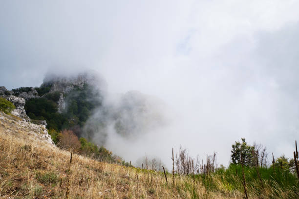 istock Misty Landscape with Scenics Nature 1180182802