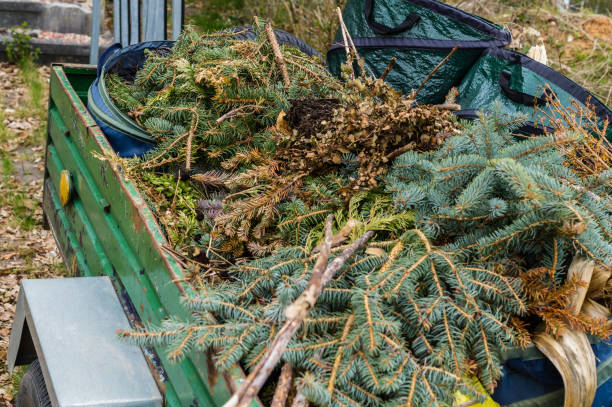 istock Green area maintenance in the park 1180183352