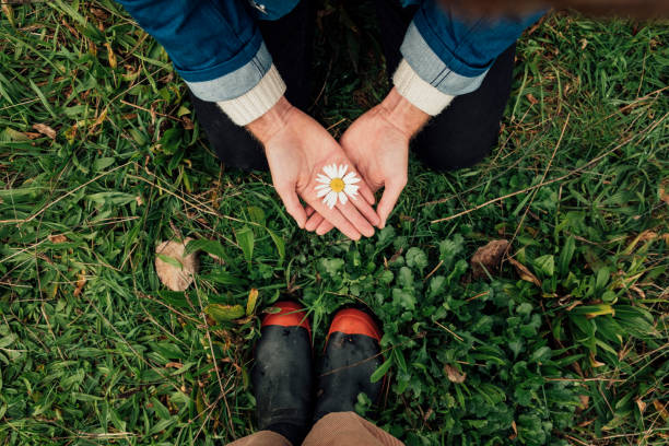 istock Beauty In Nature 1180186593