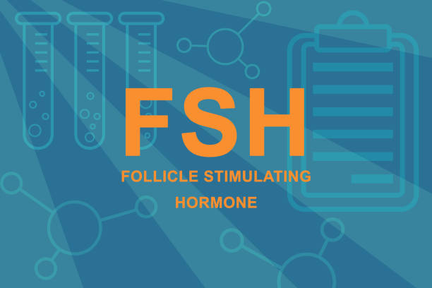 ilustraciones, imágenes clip art, dibujos animados e iconos de stock de fsh follicle estimulante signo hormonal y vasos. - follicle stimulating hormone