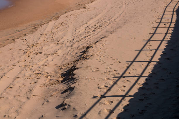 istock Shadow of Fence on Beach Sand with Footprints 1180190650
