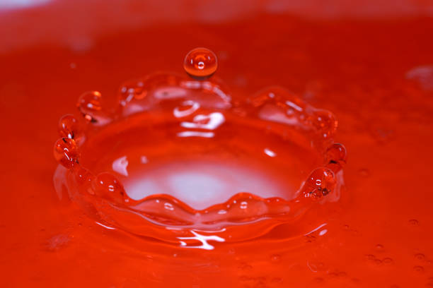 324.Close-up of water droplet splash forming a crown shape mid-air. Ripples and bubbles spread across surface. Warm lighting highlights fluid motion, reflections, and dynamic texture.