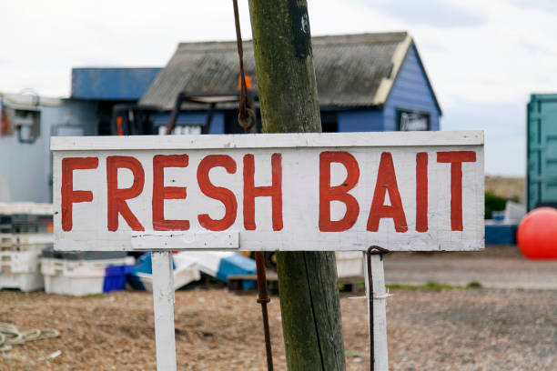 Fresh Bait Sign Fresh Bait Sign on the roadside - UK fishing bait photos stock pictures, royalty-free photos & images