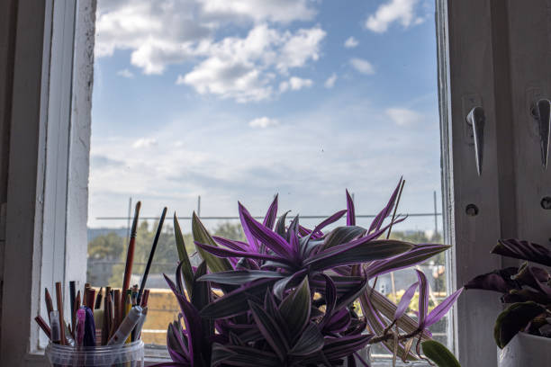 apartment window with flowers on the edge with blue sky background and old wooden window frame
