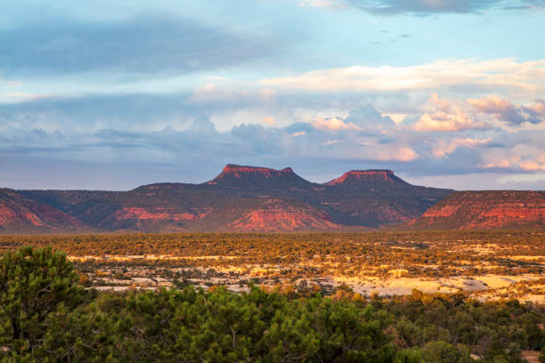 The view of Bear Ears National Monument from Natural Bridges National Monument at dusk The view of Bear Ears National Monument from Natural Bridges National Monument at dusk kayenta photos stock pictures, royalty-free photos & images