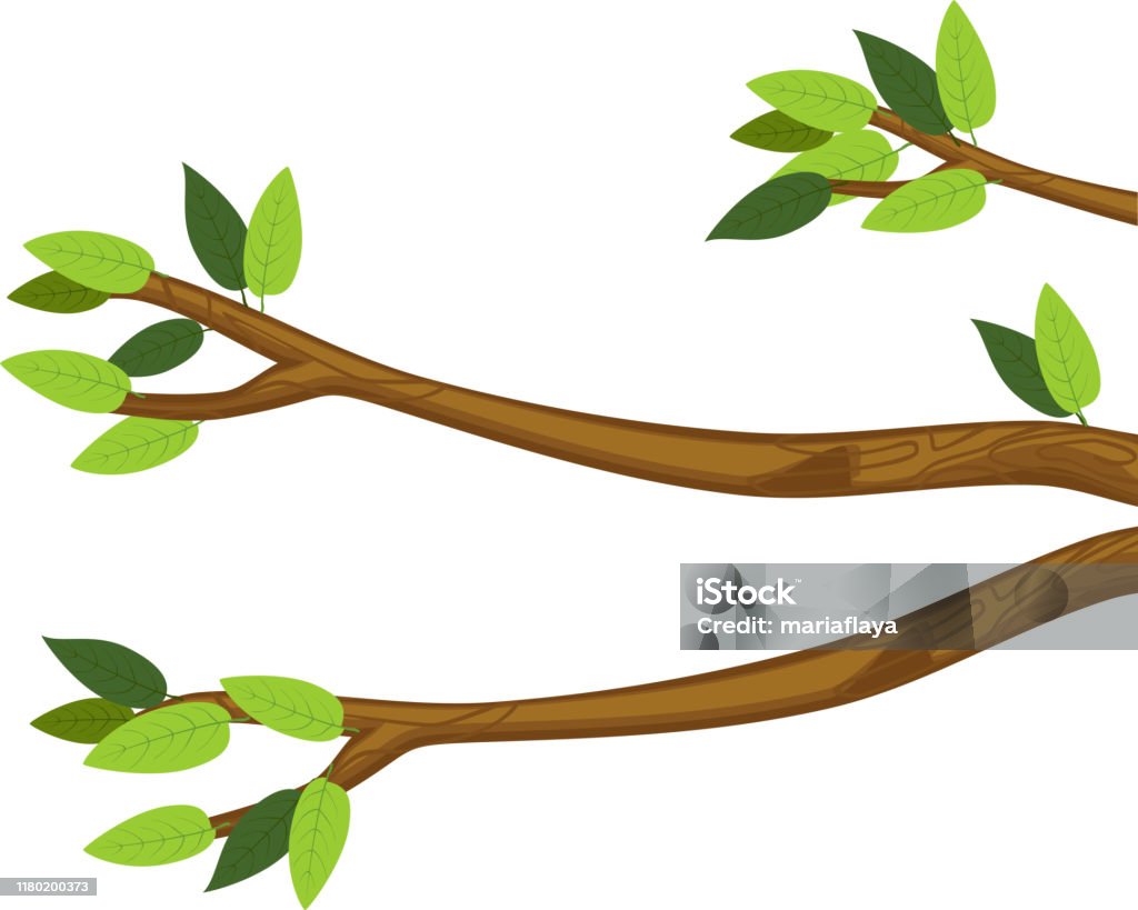 Ilustración de Ramas De Árboles De Dibujos Animados Con Hojas Verdes Aisladas Sobre Fondo Blanco y más Vectores Libres de Derechos de Rama - Parte de planta - iStock Ilustración de Ramas De Árboles De Dibujos Animados Con Hojas Verdes Aisladas Sobre Fondo Blanco y más Vectores Libres de Derechos de Rama - Parte de planta - iStock