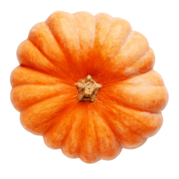 istock Fresh orange single pumpkin isolated on white background. Top view 1180203123