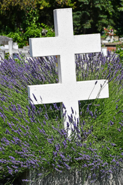 istock Cross tombstone in the cemetery 1180203852