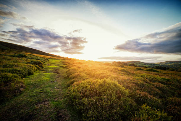 istock Black Hill, East Dartmoor Nature Reserve 1180204277