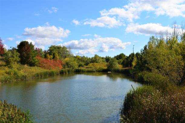 istock Lake views on a sunny autumn morning 1180205792