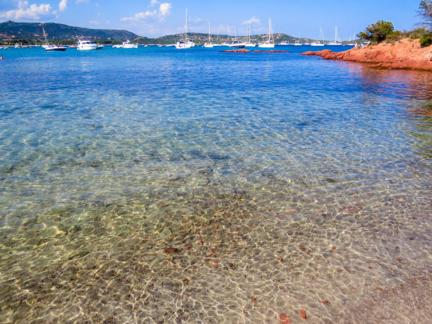 istock San Ciprianu, Corsica, France 1180208108