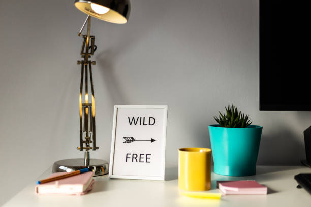istock Planner, cactus and bullet planner on the white desk 1180208185