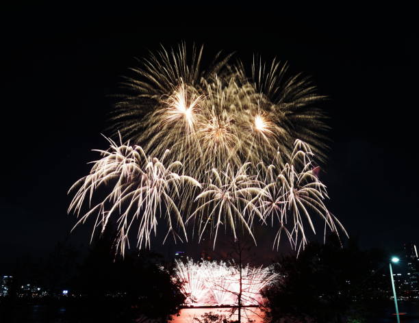 istock Night sky super large fireworks. Various shapes of fireworks 1180212746