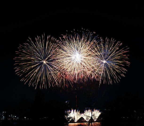 istock Night sky super large fireworks. Various shapes of fireworks 1180212789