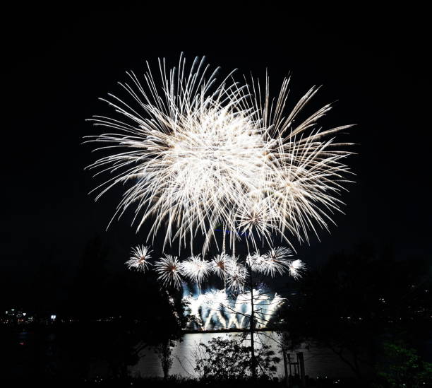 istock Night sky super large fireworks. Various shapes of fireworks 1180212823