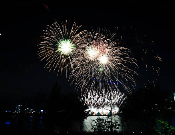 istock Night sky super large fireworks. Various shapes of fireworks 1180212824