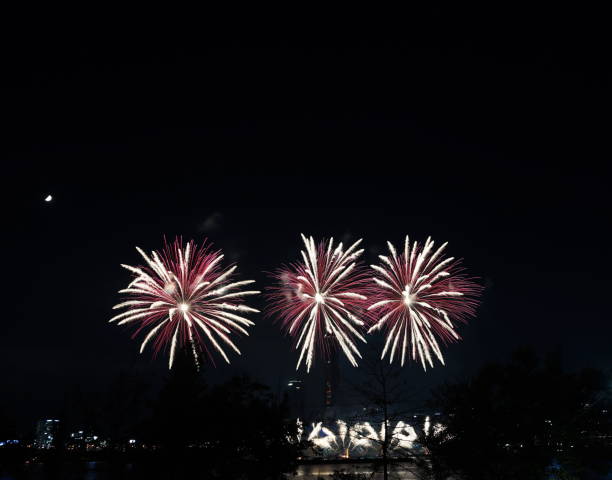 istock Night sky super large fireworks. Various shapes of fireworks 1180212859