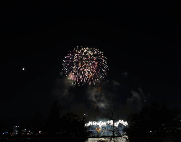 istock Night sky super large fireworks. Various shapes of fireworks 1180212950