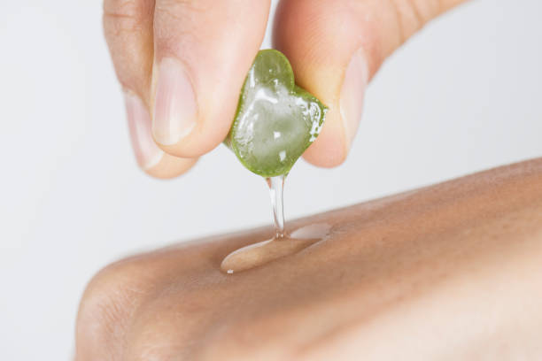 Aloe Vera Caucasian female is squeezing aloe vera slice over her hand. medicine and science drop close up studio shot stock pictures, royalty-free photos & images