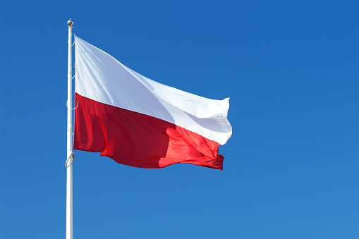 Danish flag waving on wind