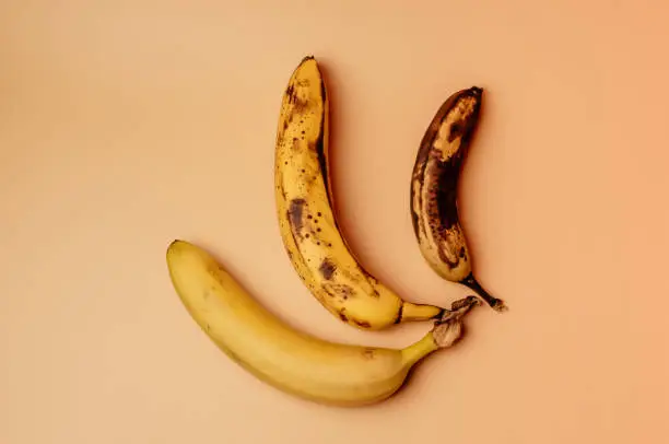 Ugly fruit modification of three bananas from ripe to more spoiled brown with spots isolated. The concept of fruit is not salable for supermarkets. Horizontal orientation
