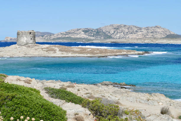 istock Mediterranean beach in The Spiaggia La Pelosa 1180220257