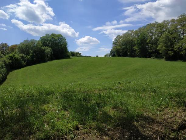 istock Meadow on a hill with trees, blue sky and white clouds 1180221342