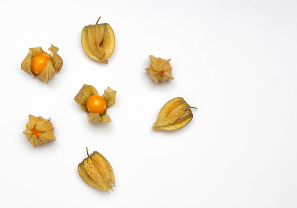 istock Physalis isolated on a white background. Healthy eating concept. 1180221438